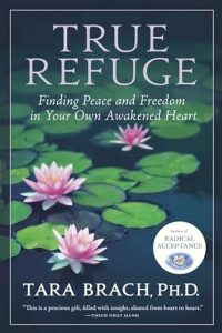True Refuge book cover
